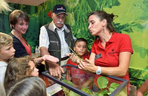 Appart T2 Village vacance 3 étoiles St Geniez d'Olt 2 piscines chauffées 75 - Photo 34