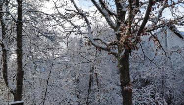 s' Kännele Ferienwohnungen - Foto 2