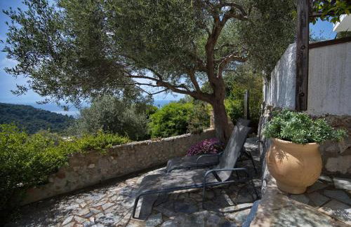 Olive Tree House - Foto 27