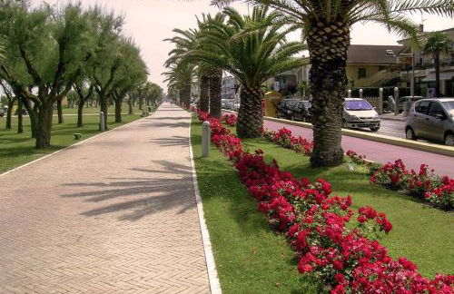 La Conchiglia - Foto 41