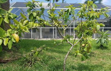 Tropical Getaway! Gulf access & heated pool! - Foto 28