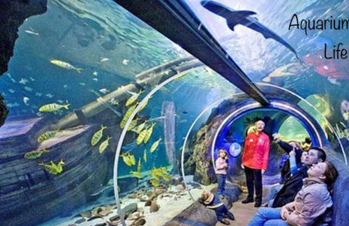 Studio 2 adultes 2 enfants parcs Disneyland Paris - Foto 47