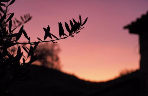 Quinta das Amendoeiras - Foto 57