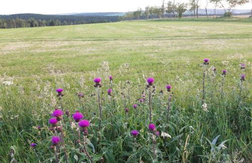 Villa Sonja - Foto 31