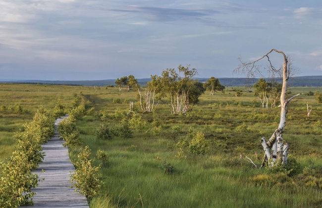 Spacious Holiday Home in Chodes With Sauna - Foto 29