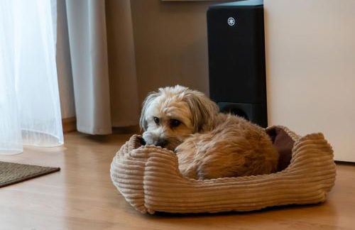 FeWo Harzer Wiesenberg, bis zu 2 Hunde willkommen! - Foto 23