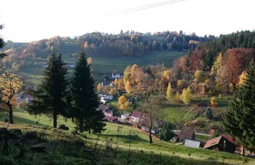 Ruhiges Ferienhaus am Waldrand mit Sauna und Kamin - Hellaberg II - Foto 34