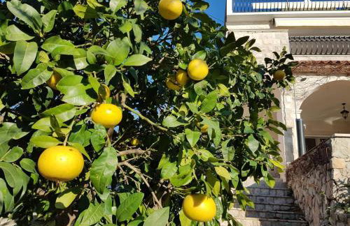 Golden view luxury apartment - Photo 31