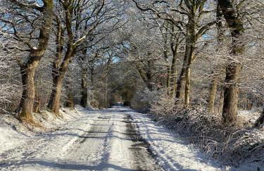 Friedeburga - Photo 45