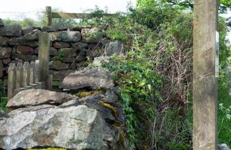 Relaxing pet friendly rural retreat - Foto 15