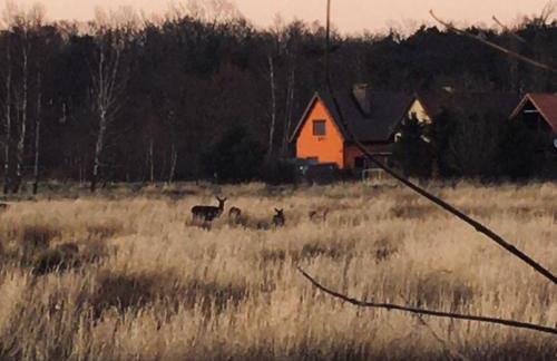 Apartamenty Pogodna - Photo 35