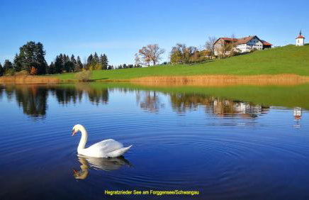 Schöne Ferienwohnung im Allgäu Lauben bei Kempten Urlaub Unterkunft FeWo Bergblick 70qm - Foto 30