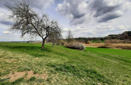 FeWo Lichtblick - Foto 60