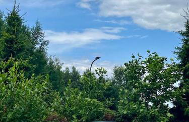 Karkonoskie Widoki Apartamenty - Foto 63