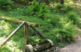 Haus Linde Frauenwald am Rennsteig - Foto 29