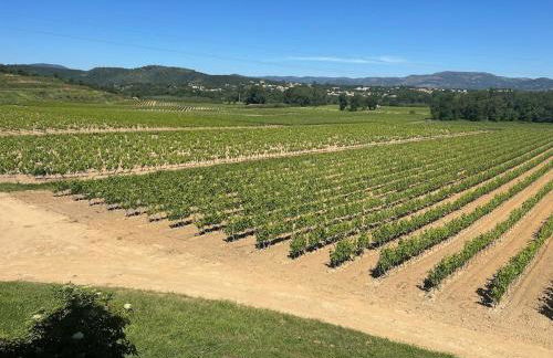 Maison calme au cœur des vignes - Foto 30