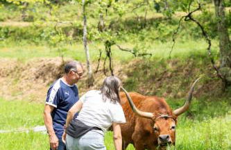 Sousa Horizonte - Louredo - Foto 67