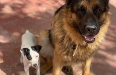 Casita Villa Serena Busot - Foto 18