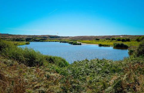 Studio cosy au calme proche des plages - Foto 27