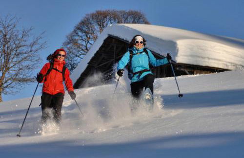 Résidence L'ancolie - Studio au pied des pistes - 1450 m MAE-2764 - Foto 6