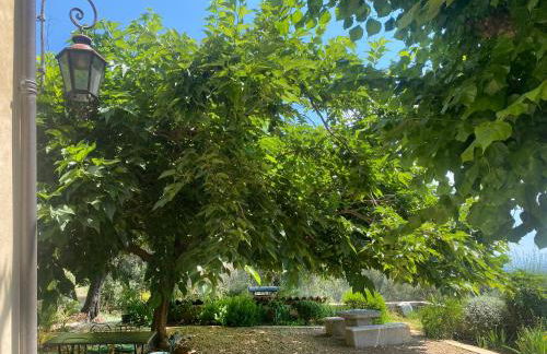 Le Mas Sainte Thérèse - Foto 19