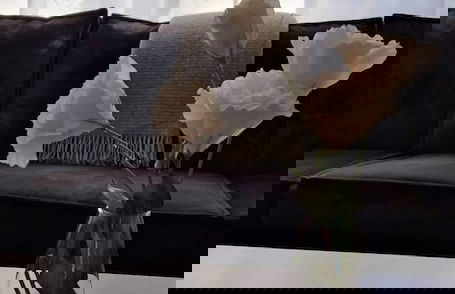 Theater Row Apartments - Foto 36