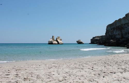 Vecchio Ulivo - Foto 37