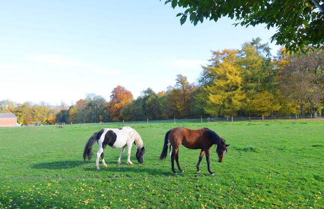 Spacious Holiday Home With Private Garden - Foto 34