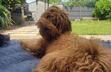 Open Mind Property - Escape to the New Forest Edge - Foto 24