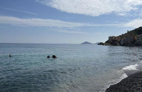 Agave Marina - Foto 58