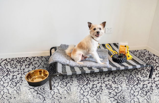 Roomie Apartment Hotel - Foto 79