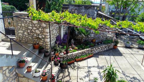 Apartman Ane - Bribir - Foto 5, Garden
