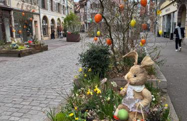 Just In Colmar, maison complète avec parking privé - Foto 64
