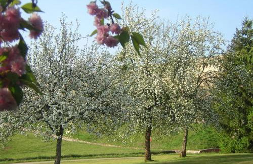 Gîte paisible au pied du Bassin de Champagney, animaux acceptés - FR-1-583-372 - Foto 19
