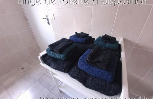 [Aucun supplément] L'Harmonie - 15 min de Beauval - Foto 19