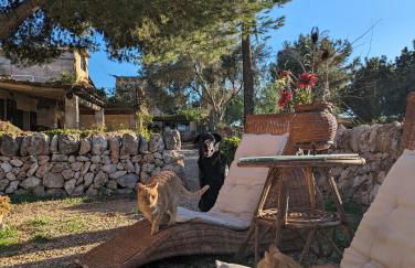 Agroturismo Finca Sant Blai - Photo 53