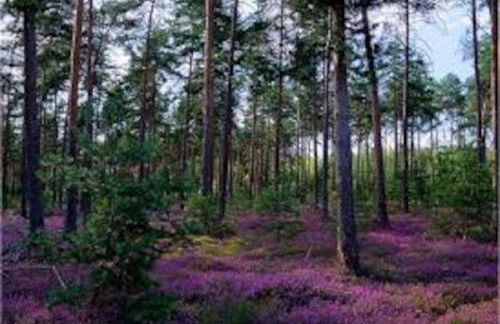 Maison de ville 3 chambres 3 salles d'eau parking 2 places - Foto 24