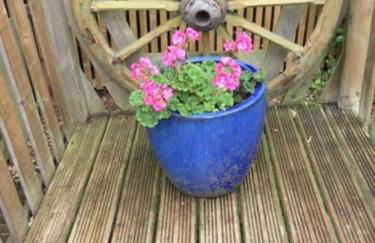 Little gem at foot of Malvern Hills - Foto 16