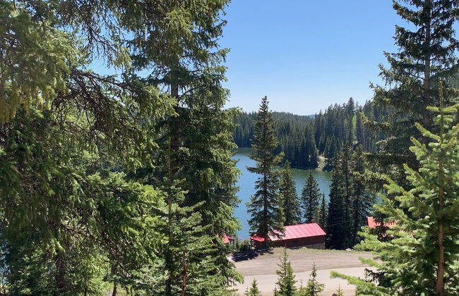 Alexander lake lodge - Foto 70