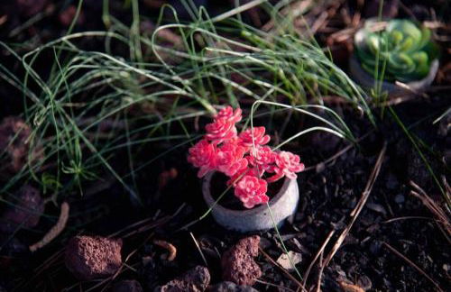 Rustic Chic Alabama Cabin w Loft Fire Pit Pet Friendly Fenced Yard Lake Guntersville - Lucky Lodge - Foto 55