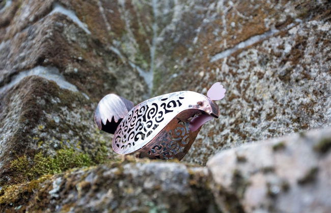 Casa dos Livros - Guest House - Foto 65