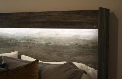 Luxéry Stay Chicago - Themed Units! Close to Downtown, McCormick Place & Wintrust Arena - Photo 7