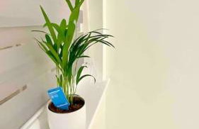 A beautiful stylish 2 Bedroom Apartment -City of London - Foto 39