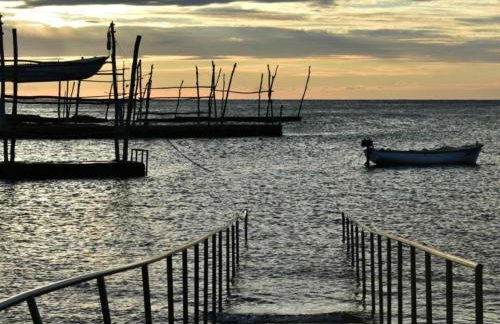 Apartment in Savudrija mit Privatem Garten und Panoramablick by Interhome - Foto 41