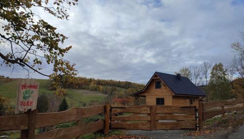 Dzika Polana - Foto 2