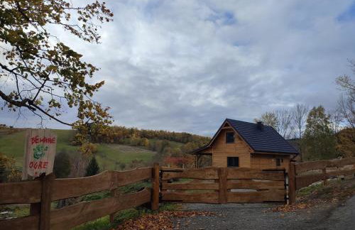 Dzika Polana - Foto 2