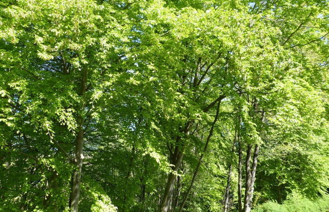 Utkiek Stuuv Comfortable Holiday Residence - Foto 18