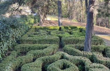 Cortijo San Roque Alojamientos Rurales - Foto 14