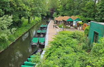 L'Hortillon - Photo 51