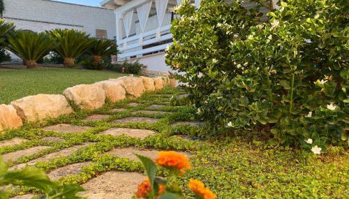 MASSERIA FRANTELLA - Foto 4